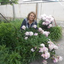  ,   , 65 ,   ,   