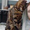 ���������� ���������, ���� ������� �����, 32 ����, ������������ ��� ������