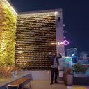 ���������� Wonju, ���� ������� Timur, 35 ���, ������������ ��� ������, ����� � ���������, c�������� ���������, ���������