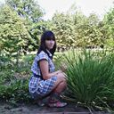   ,   , 33 ,     , c 