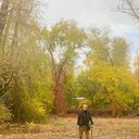 ���������� ������-��-����, ���� ������� ������, 38 ���, ������������ ��� ������, ����� � ���������