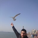 ���������� ������, ���� ������� Nematulla, 36 ���, ������������ ��� ������, ����� � ���������, c�������� ���������, ���������