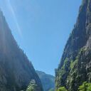  ,   Dmitry, 33 ,   ,   