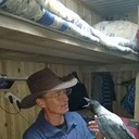 ���������� �����-���������, ���� ������� �����, 55 ���, ������������ ��� ������, ����� � ���������, c�������� ���������