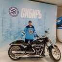 ���������� �����������, ���� ������� ����, 46 ���, ������������ ��� ������, ����� � ���������, c�������� ���������