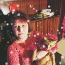  ,   , 55 ,     , c 