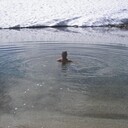 ���������� ����-�����������, ���� ������� �����, 36 ���, ������������ ��� ������, ����� � ���������, c�������� ���������, ���������