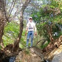 ���������� ���������, ���� ������� ������, 33 ����, ������������ ��� ������, ����� � ���������