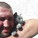  ,   , 36 ,   ,   , c , 