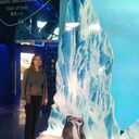 ���������� ���������, ���� ������� �������, 48 ���, ������������ 