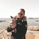 ���������� ������, ���� ������� ������, 30 ���, ������������ ��� ������, ����� � ���������