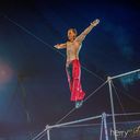 ���������� �����, ���� ������� ���������, 39 ���, ������������ ��� ������