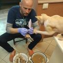 ���������� ���������, ���� ������� ����, 44 ����, ������������ ��� ������, ����� � ���������, ���������