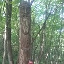 ���������� ����������, ���� ������� ���������, 44 ����, ������������ ��� ������, ����� � ���������, c�������� ���������