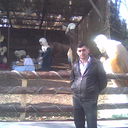  ,   Vachik, 46 ,  