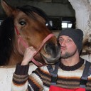 ���������� ������, ���� ������� ���, 45 ���, ������������ ��� ������, ����� � ���������, c�������� ���������