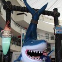  ,   Igor, 56 ,     , c 