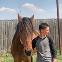 ���������� ������������, ���� ����� ���������, 21 ���, ������������ ��� ������, ����� � ���������, c�������� ���������