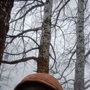 ���������� ��������������, ���� ������� ����, 43 ����, ������������ ��� c�������� ���������