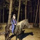 ���������� ������, ���� ������� ��������, 51 ���, ������������ ��� ������, ����� � ���������