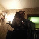 ���������� ���������, ���� ������� ���������, 31 ���, ������������ ��� ������, ����� � ���������, c�������� ���������