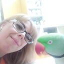 ���������� ������, ���� ������� �����, 49 ���, ������������ ��� c�������� ���������