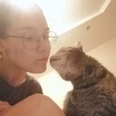 ���������� ������������, ���� ������� ���, 29 ���, ������������ ��� ������, ����� � ���������, c�������� ���������