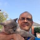  ,   , 51 ,   ,   