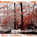 ���������� �������, ���� ������� Akaki, 45 ���, ������������ ��� ������