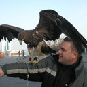 ���������� ��������, ���� ������� ����, 45 ���, ������������ ��� ������, ����� � ���������, c�������� ���������