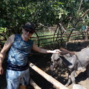 ���������� ������, ���� ������� Ramin, 40 ���, ������������ ��� ������, ����� � ���������, c�������� ���������