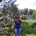   ,   , 60 ,  