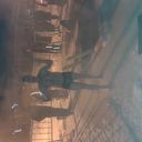 ���������� �������, ���� ������� ���������, 49 ���, ������������ ��� ������