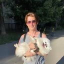 ���������� ������, ���� ������� Azama, 35 ���, ������������ ��� ������, ����� � ���������