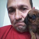 ���������� ���������, ���� ������� �������, 54 ����, ������������ ��� c�������� ���������, ���������