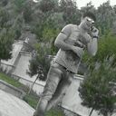  ,   CONI, 36 ,   