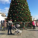 ���������� �����������, ���� ������� �����, 38 ���, ������������ ��� ������, ����� � ���������, c�������� ���������, ���������