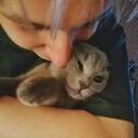 ���������� �������, ���� ����� ����, 22 ����, ������������ ��� ������, ����� � ���������, ���������