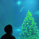 ���������� ������, ���� ������� ���, 30 ���, ������������ ��� ������, ����� � ���������, c�������� ���������