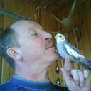  ,   , 64 ,   ,   , c , 