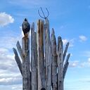  ,   Murad, 38 ,   ,   , c , 