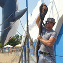 ���������� �������, ���� ������� ����������, 51 ���, ������������ ��� ������, ����� � ���������, c�������� ���������