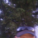 ���������� ������, ���� ������� �����, 37 ���, ������������ ��� ������, ����� � ���������, c�������� ���������