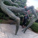 ���������� ������-��-����, ���� ������� ���������, 47 ���, ������������ ��� ������, ����� � ���������