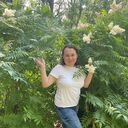 ���������� �����������, ���� ������� ��������, 26 ���, ������������ 