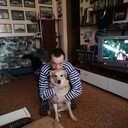 ���������� �����, ���� ������� ��������, 43 ����, ������������ ��� ����� � ���������, c�������� ���������