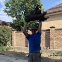 ���������� ������, ���� ������� Roman, 30 ���, ������������ ��� ������, ����� � ���������