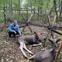  ,   Oleg, 37 ,   ,   , c 