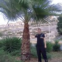 ���������� ���������, ���� ������� ������, 36 ���, ������������ ��� ������, ����� � ���������