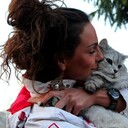 ���������� ������, ���� ������� ������, 25 ���, ������������ ��� ���������